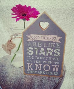 Good Friends Wooden House
