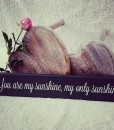 You Are My Sunshine Sign