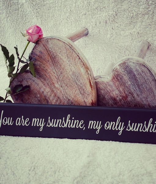 You Are My Sunshine Sign
