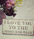I Love You To The Moon Sign