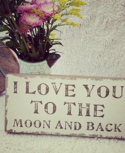 I Love You To The Moon Sign