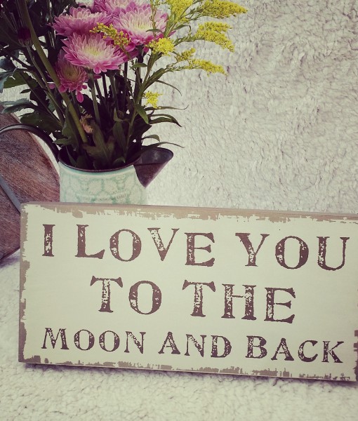 I Love You To The Moon Sign