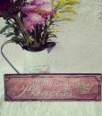 Pretty Princess Plaque